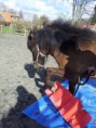 /album/fotogalerij-fotos/a1932297-10200871339345515-1289148752-n-jpg1/